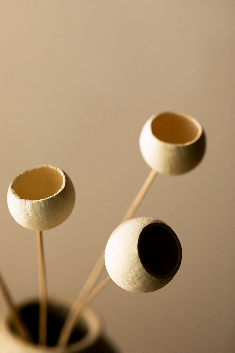 Verpakking van 5 Aegle decoratieve gedroogde takken , galerij beeld 2