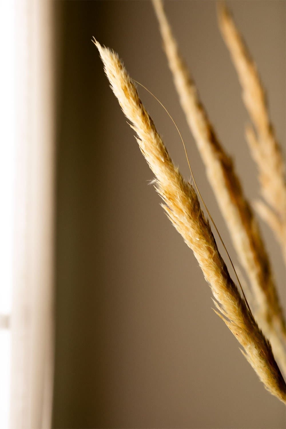 Verpakking van 6 decoratieve gedroogde takken Megana , galerij beeld 2