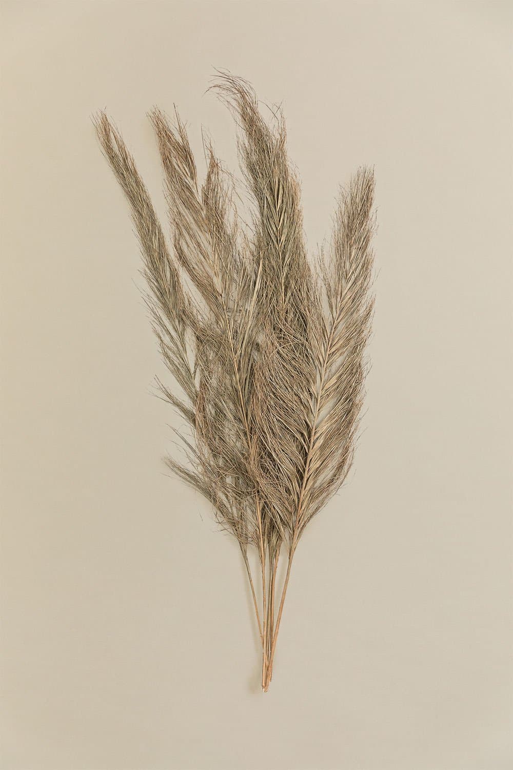 Set van 6 decoratieve droge takken Nereid, galerij beeld 3