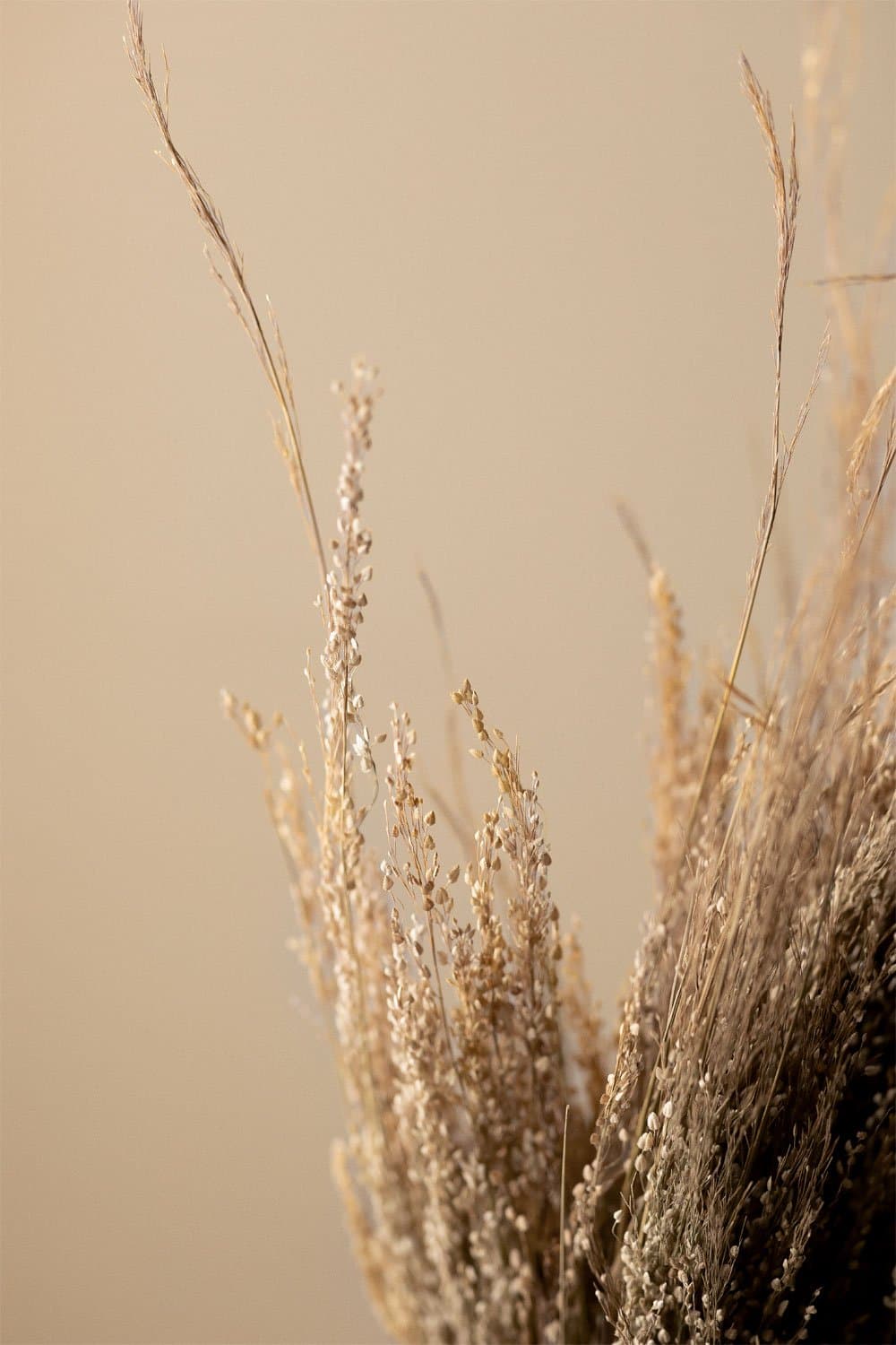 Ainala decoratieve tak , galerij beeld 2